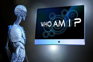 7777788888管家婆精准_智能AI深度解析_AI助手版g12.64.976