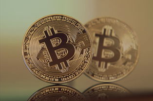 证券投资价值分析报告，理性投资，洞察未来